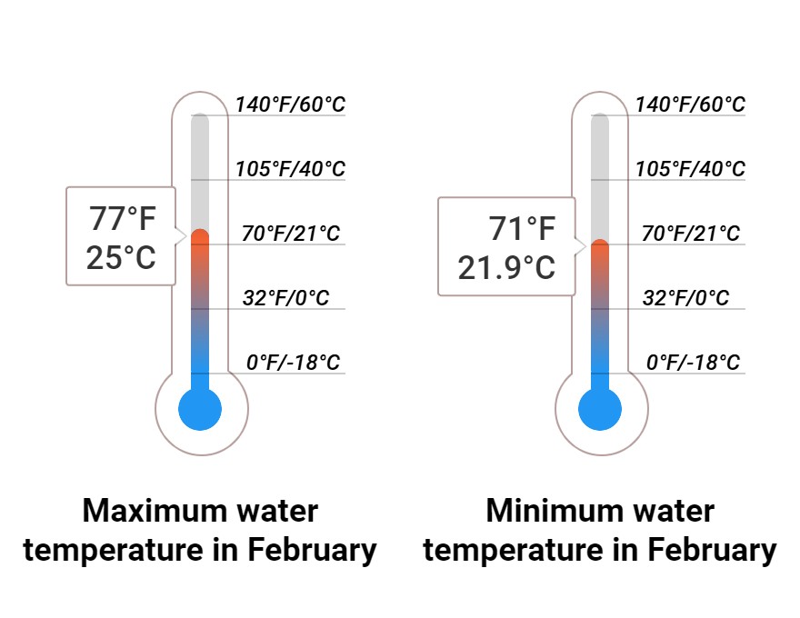 Average Sea temperature